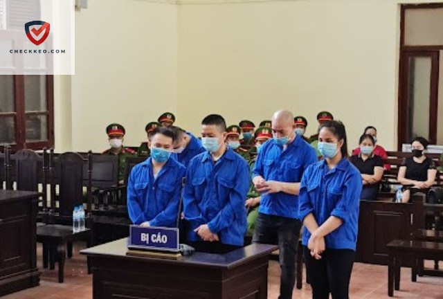 Các Hình Thức Vi Phạm và Mức Phạt