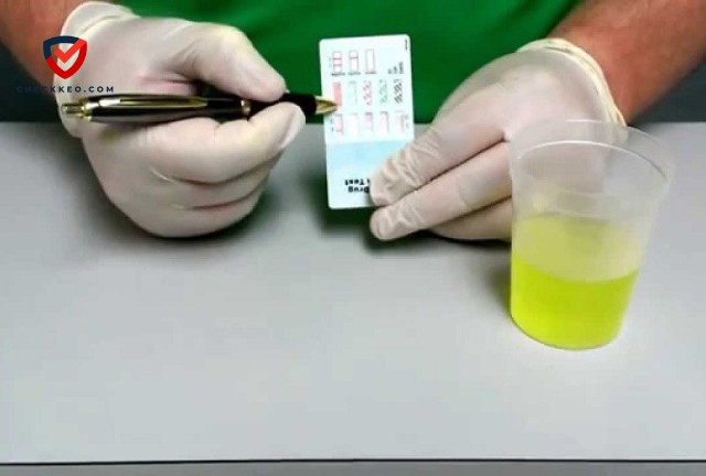 Thuốc Ngừa Thai Hoạt Động Như Thế Nào
