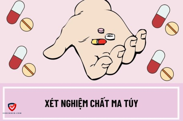 Bảng giá chi phí xét nghiệm ma tuý tham khảo