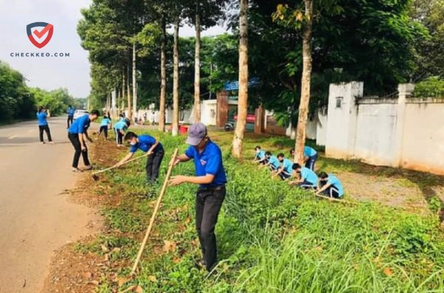 Quy Trình Cai Nghiện