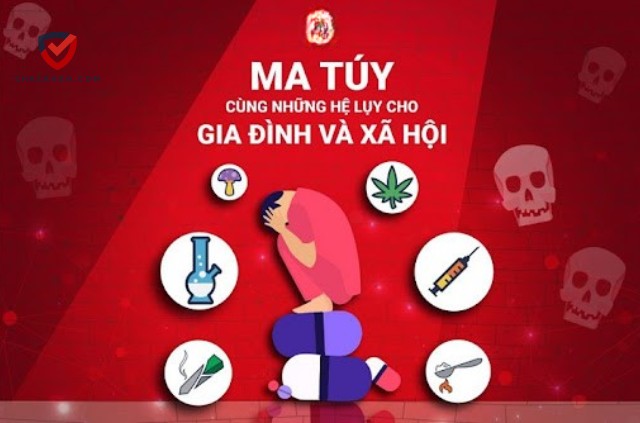 Ma Túy Gây Tác Hại Như Thế Nào Đối Với Nền Kinh Tế