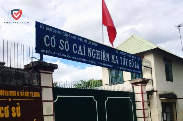 Tác Hại Khôn Lường Của "Bố Lá"