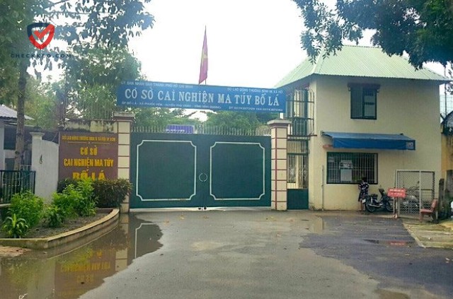 "Bố Lá" Là Gì?
