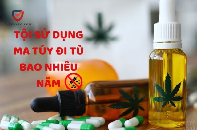 Sử dụng ma túy là một hành vi vi phạm pháp luật