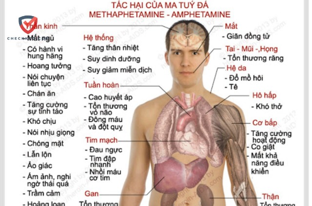 Tác hại to lớn của ma tuý đá