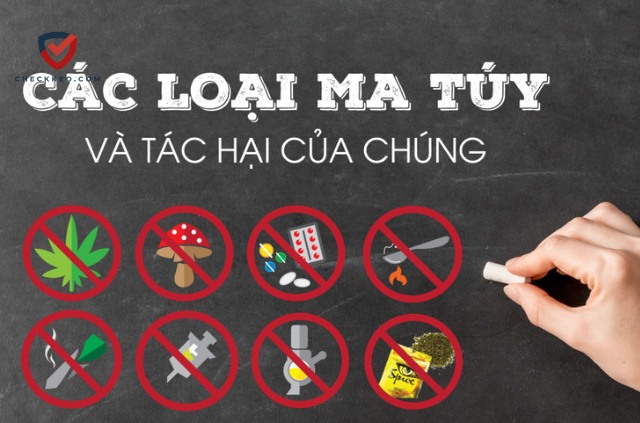 Ma túy tác động trực tiếp và tàn phá hệ thần kinh trung ương